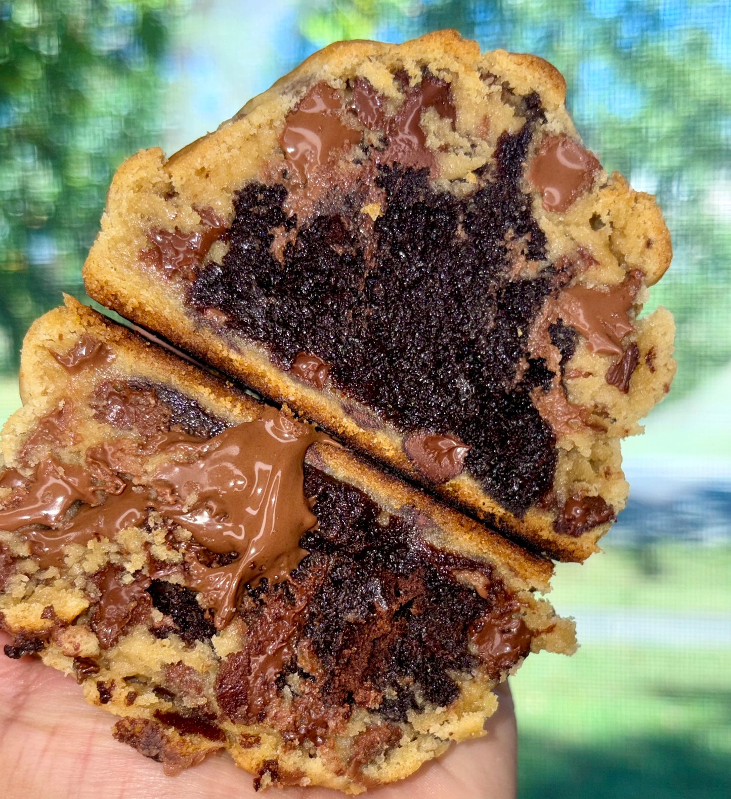 Brookie