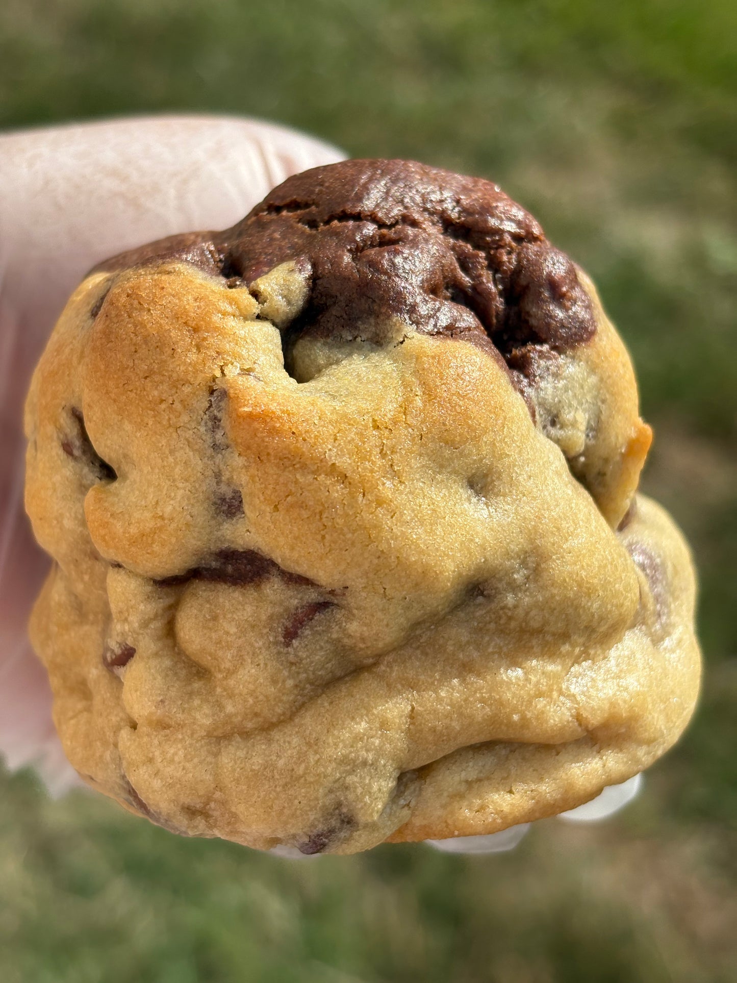 Nucita Cookie