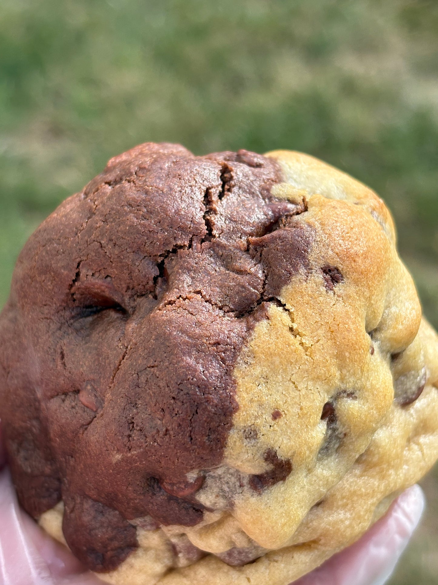 Nucita Cookie